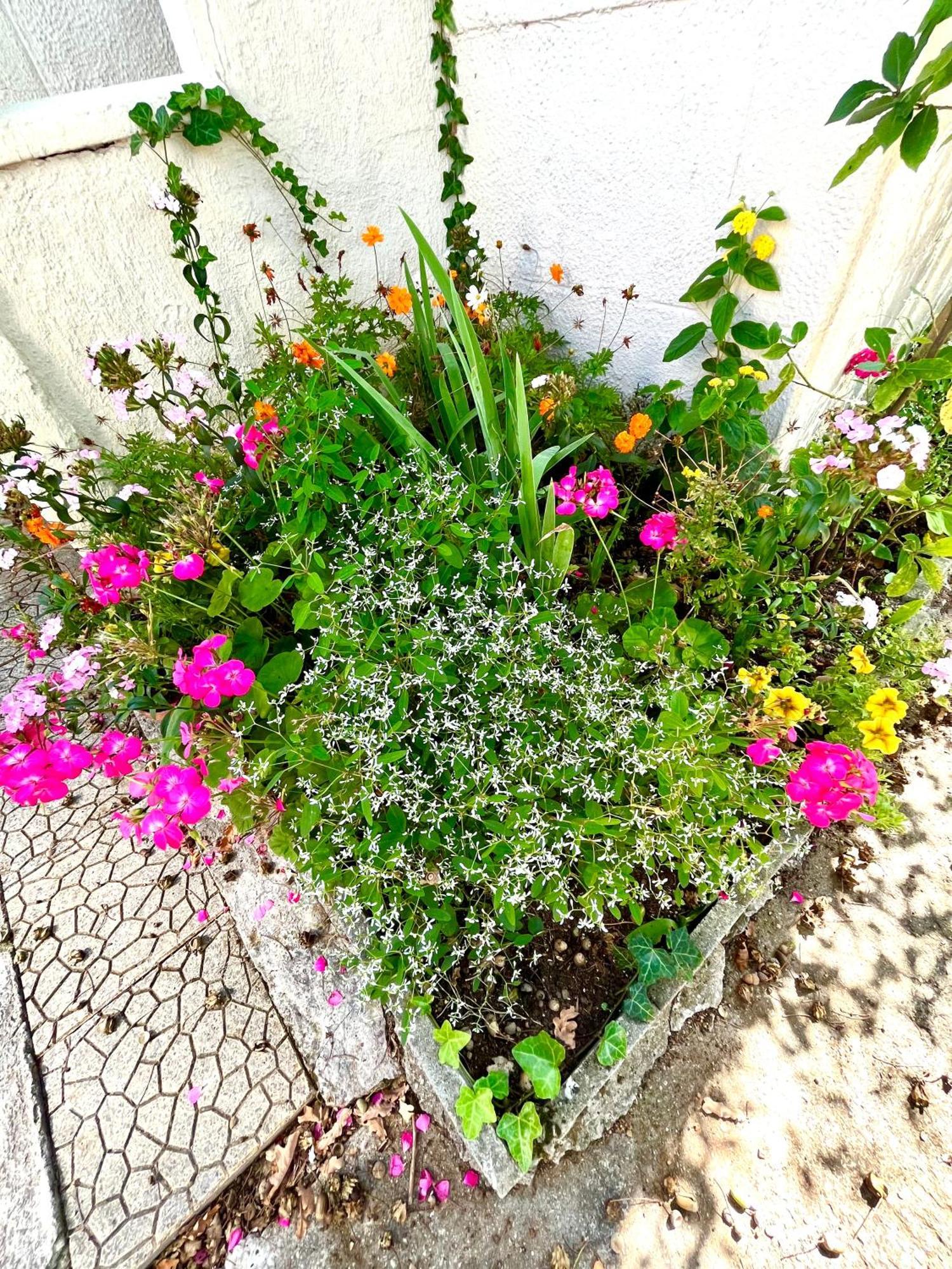 Cosy House Near Paris, Cdg Airport + Parking Villa Aulnay-sous-Bois Buitenkant foto